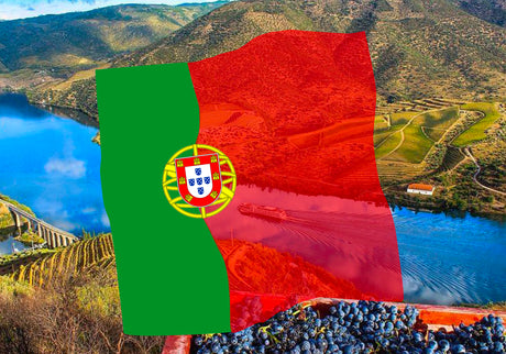 Vini Portogallo