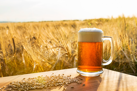 Birra artigianale svizzera