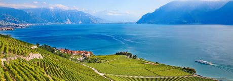 Alla scoperta del vino svizzero: territori, vitigni e curiosità