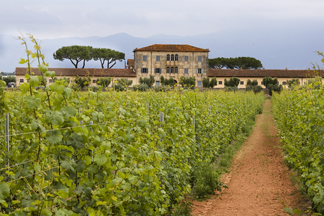 Casale del Giglio: alla scoperta dei vini dell’Agro Pontino