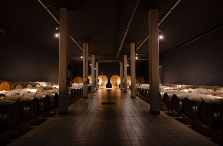 Verso la vendemmia