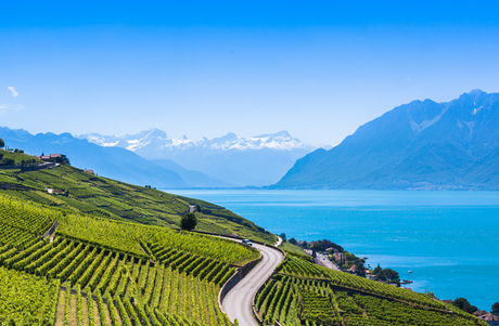 Vini  Canton Vaud e Tre Laghi