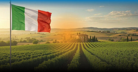 Vini italiani