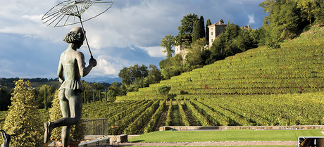 Cantina Jermann: quando un vino cambia la storia dei bianchi italiani del Friuli