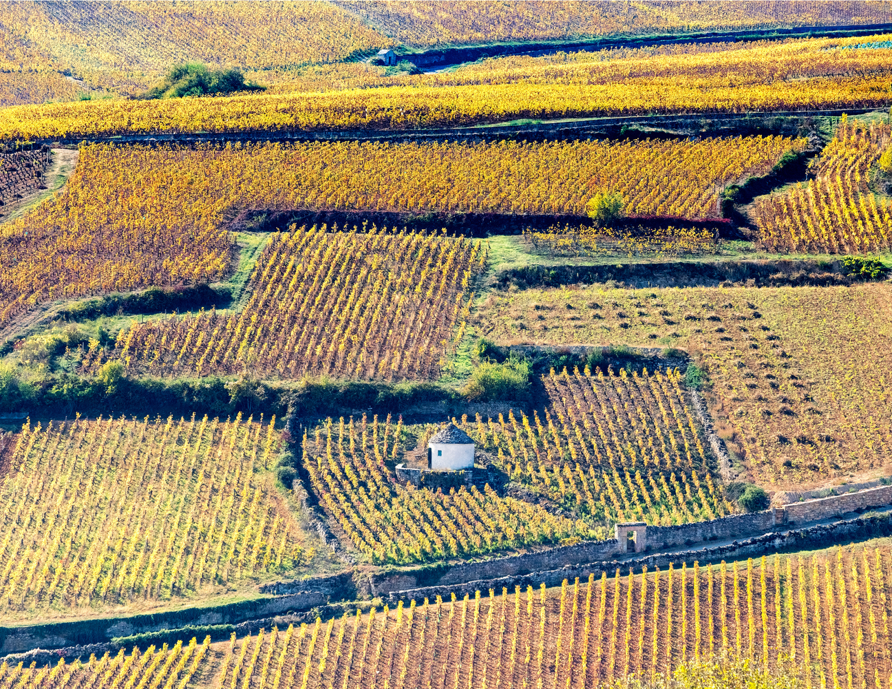 Francia - Bourgogne