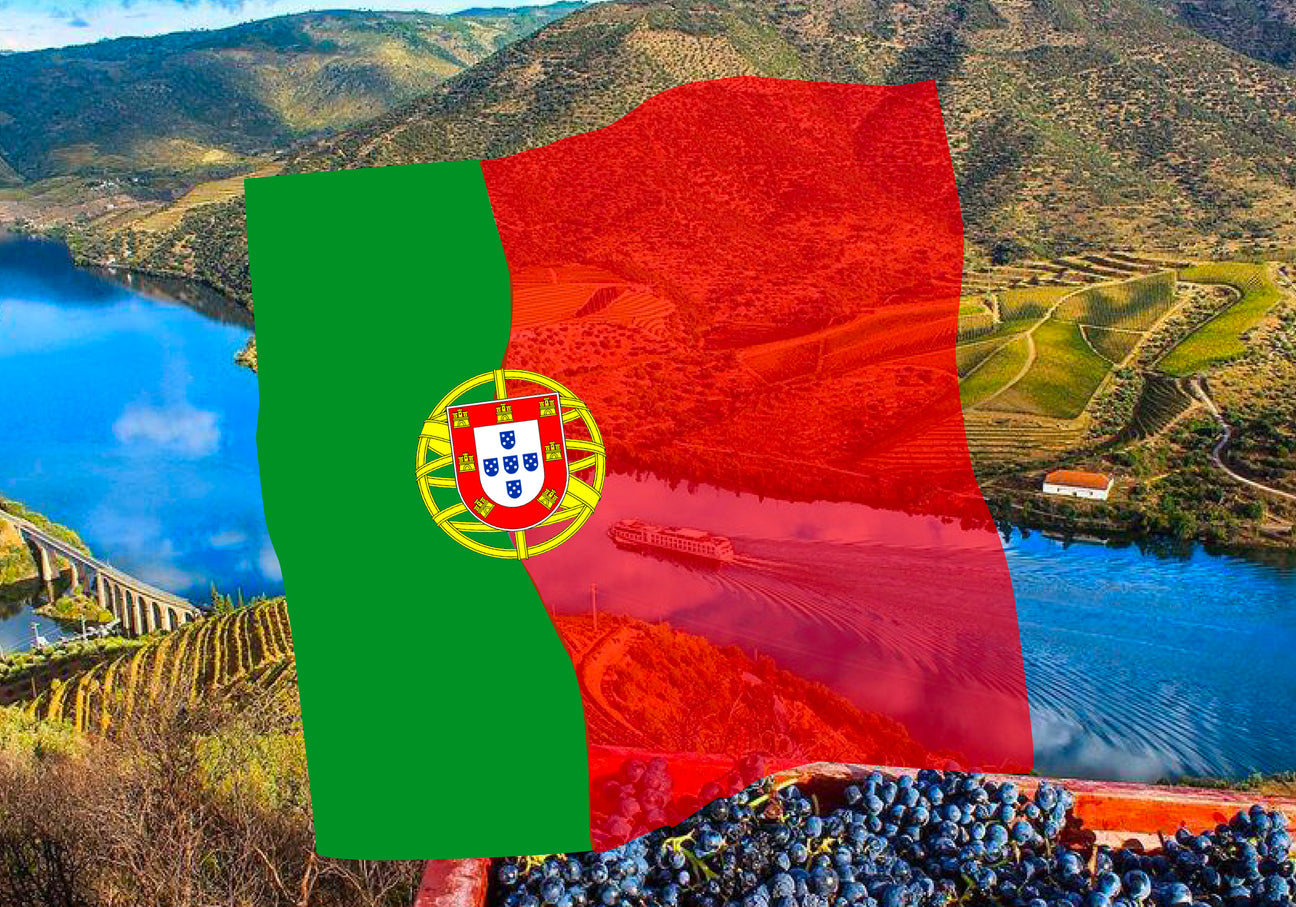 Vini Portogallo