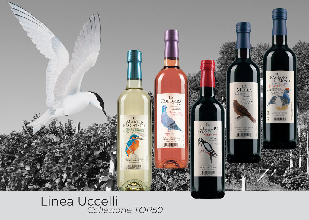 Linea Uccelli - Collezioni TOP50