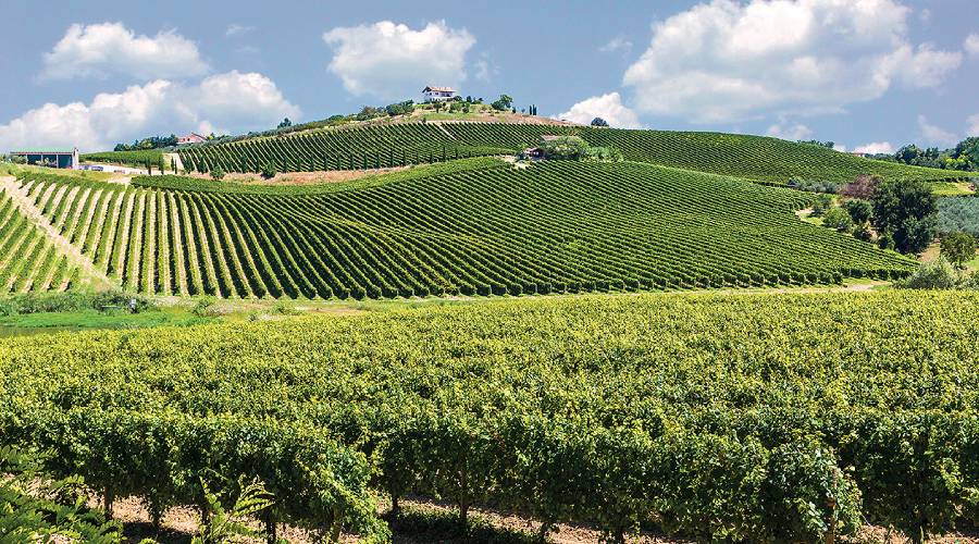 colline verdi coltivate abruzzesi